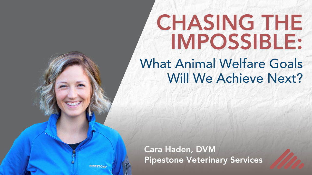Chasing the Impossible: What Animal Welfare Goals Will We Achieve Next?