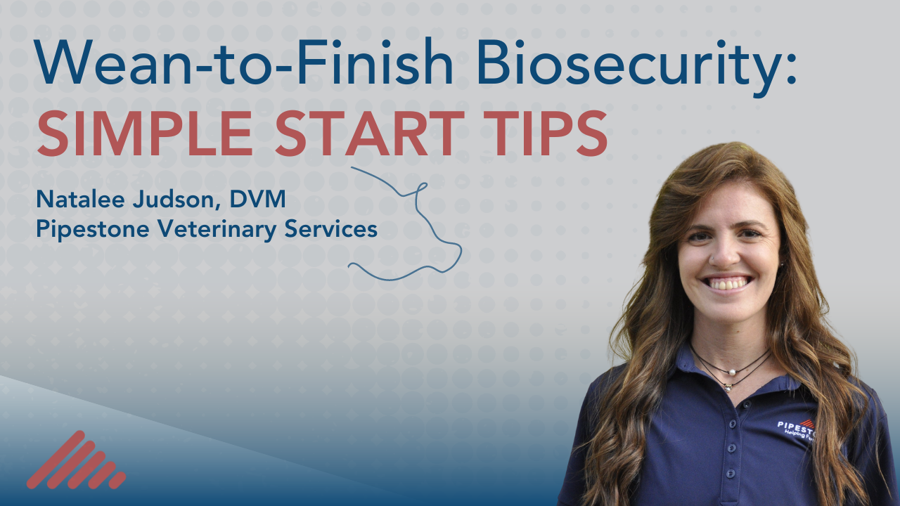 Wean-to-Finish Biosecurity: Simple Start Tips
