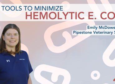 Tools to Minimize Hemolytic E. coli