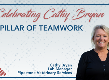 Celebrating Cathy Bryan: A Pillar of Teamwork