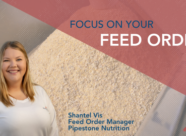 Focus on your Feed Order