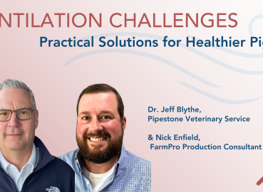 Ventilation Challenges: Practical Solutions for Healthier Herds