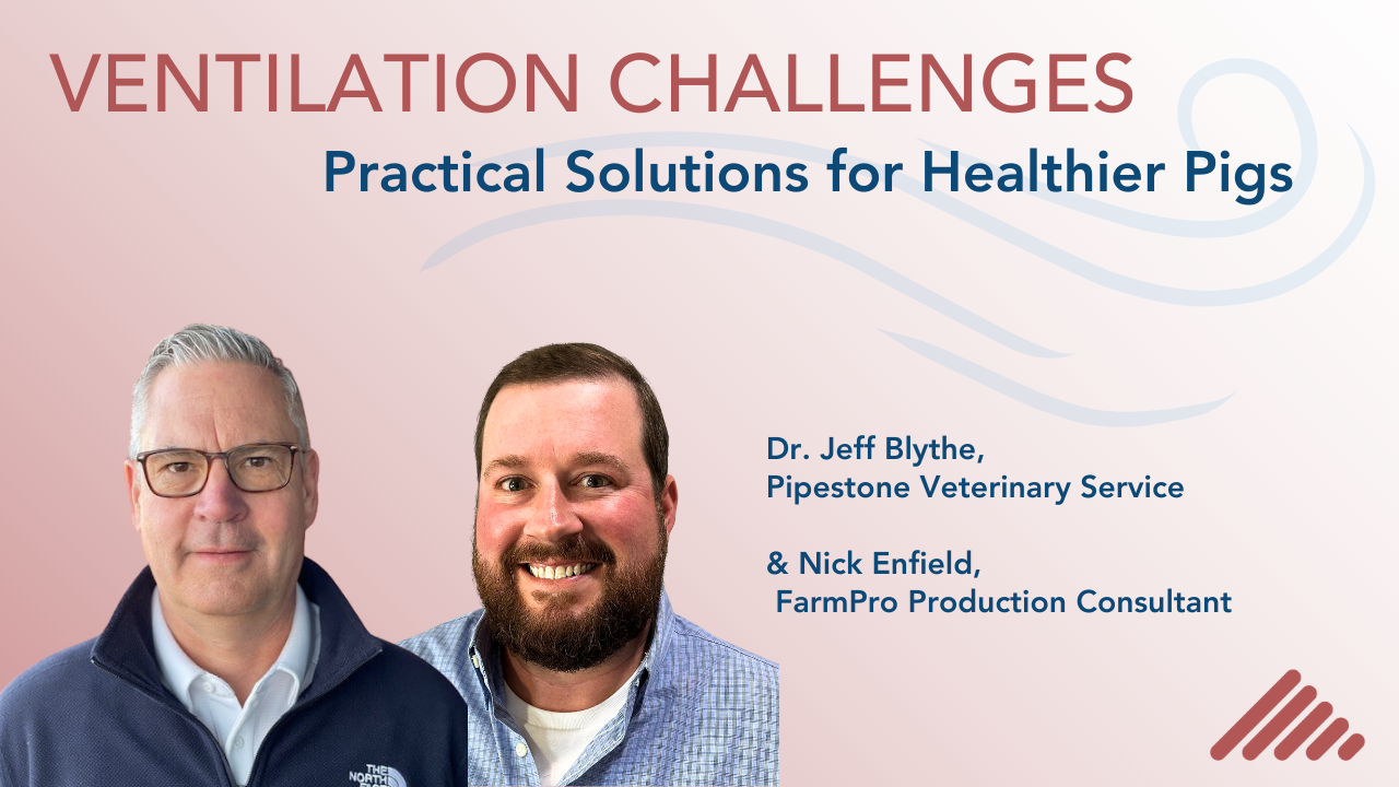 Ventilation Challenges: Practical Solutions for Healthier Herds