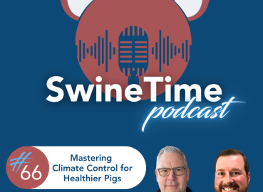 Episode #66: Mastering Climate Control for Healthier Pigs