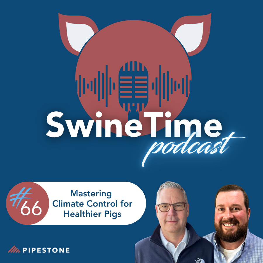 Episode #66: Mastering Climate Control for Healthier Pigs