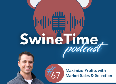 Episode #67: Maximize Profits with Market Sales & Selection