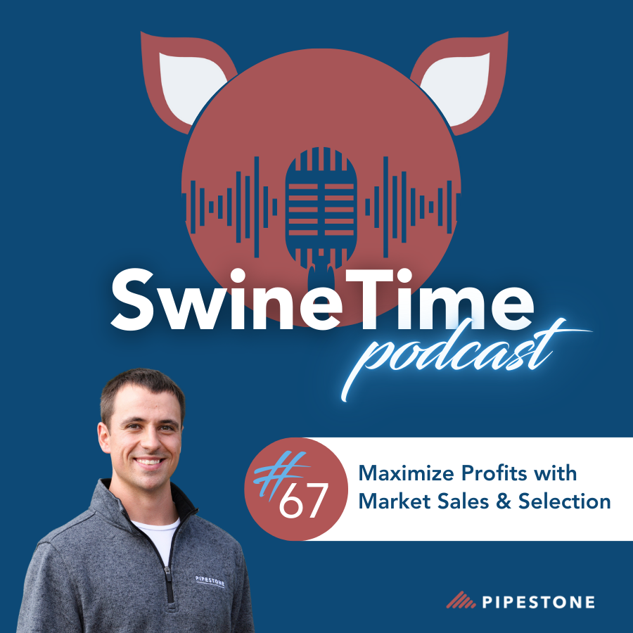 Episode #67: Maximize Profits with Market Sales & Selection