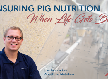 Ensuring Pig Nutrition When Life Gets Busy